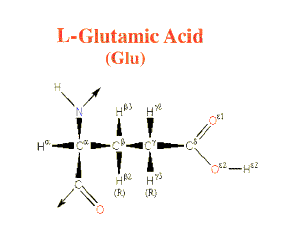 Glutami Acid image