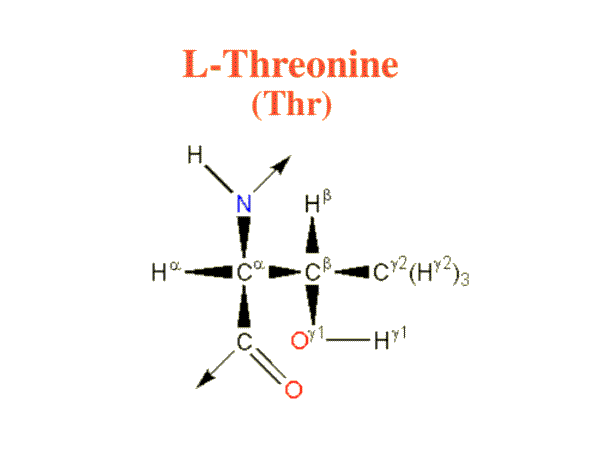 Threonine image