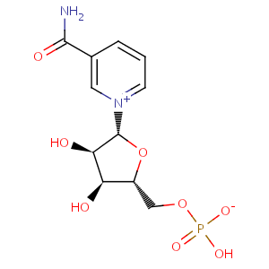Nicotinamide_D_ribonucleotide